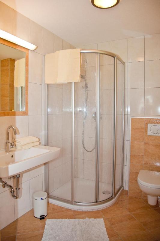 One-Bedroom Apartment image 2
