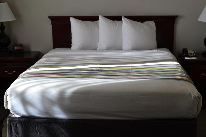 One-Bedroom Queen Suite - Disability Access image 2