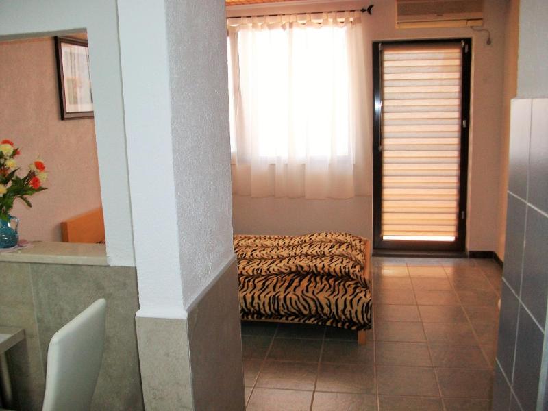 Standard Triple Studio image 3