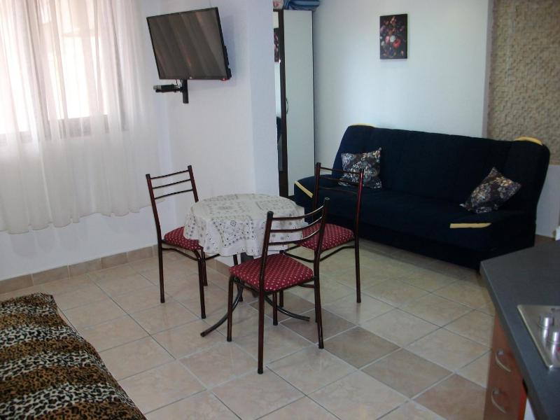 Standard Triple Studio image 2