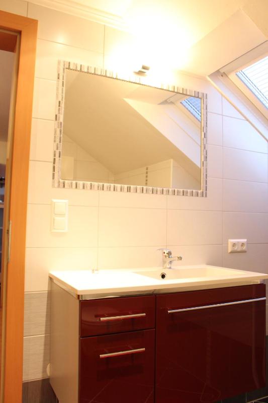 One-Bedroom Apartment image 2