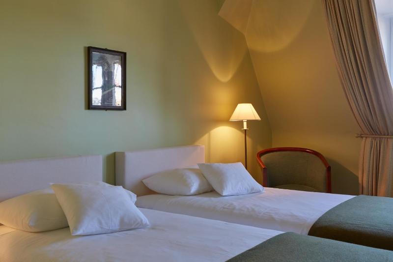 Standard Twin Room image 2