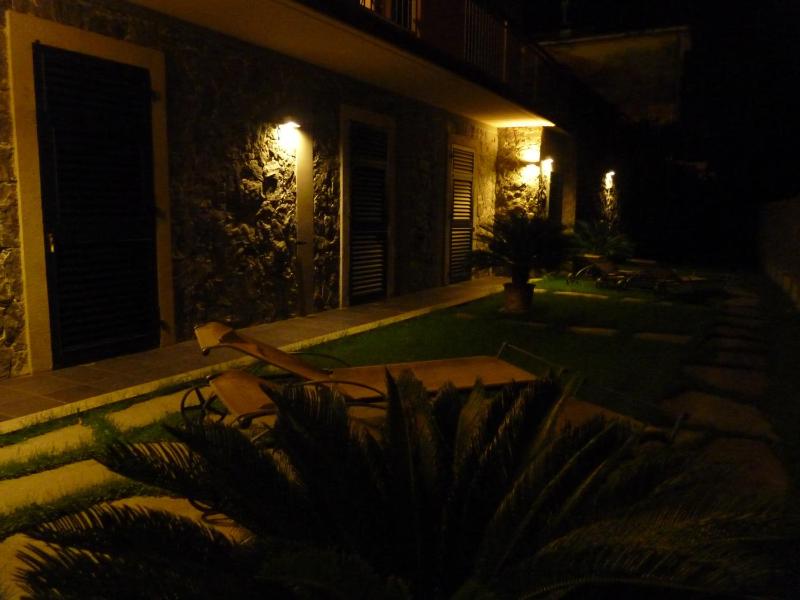 La Gerbera - image 10