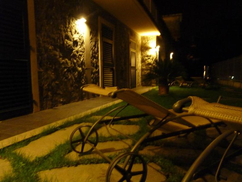 La Gerbera - image 27