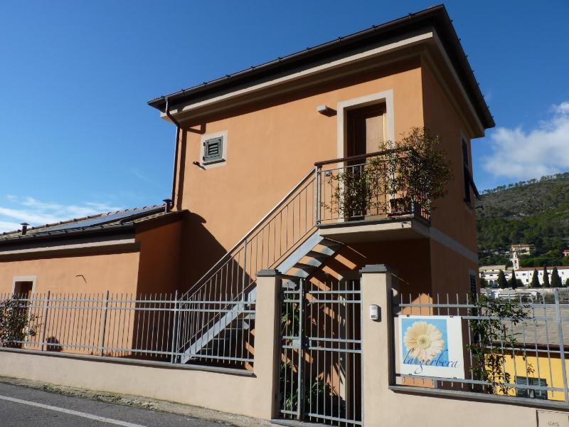La Gerbera - image 21