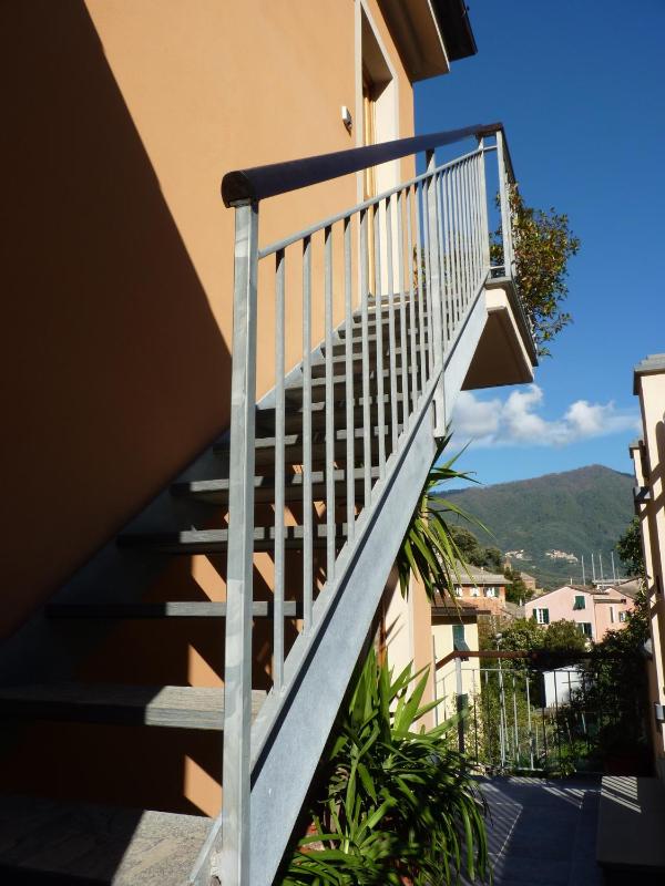 La Gerbera - image 6