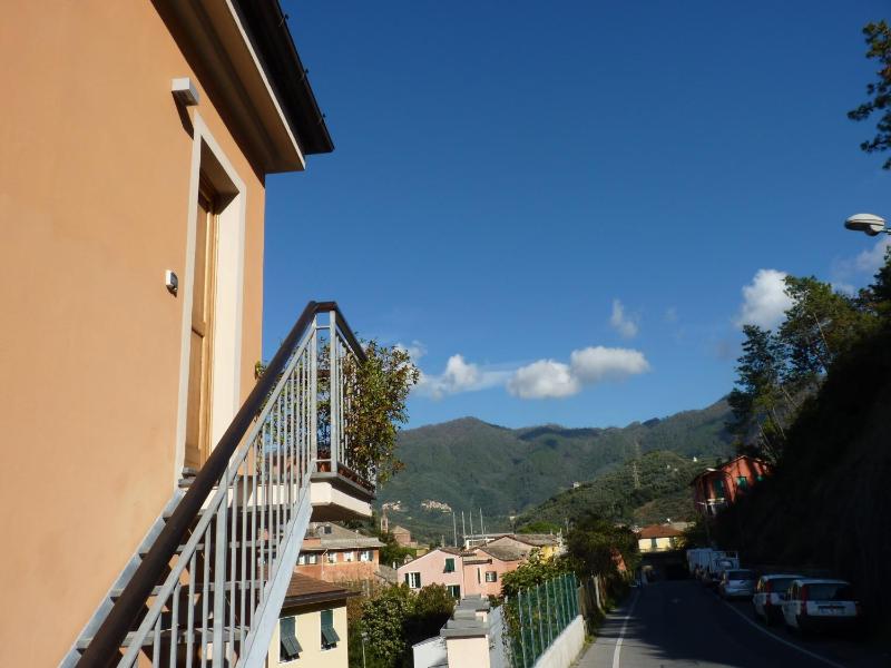 La Gerbera - image 29