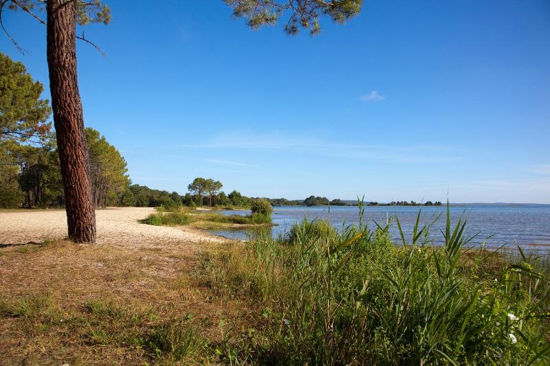 Studio mansardé climatisé les roseaux bord de lac - image 22