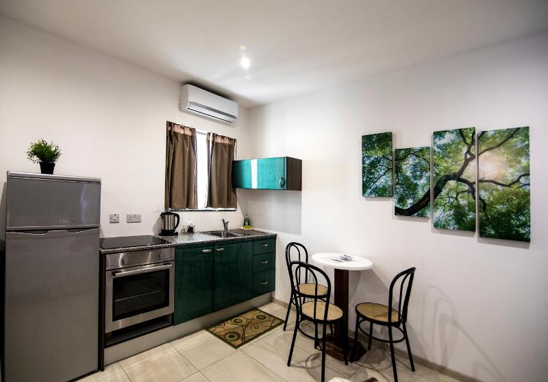 Deluxe Studio Apartment image 2