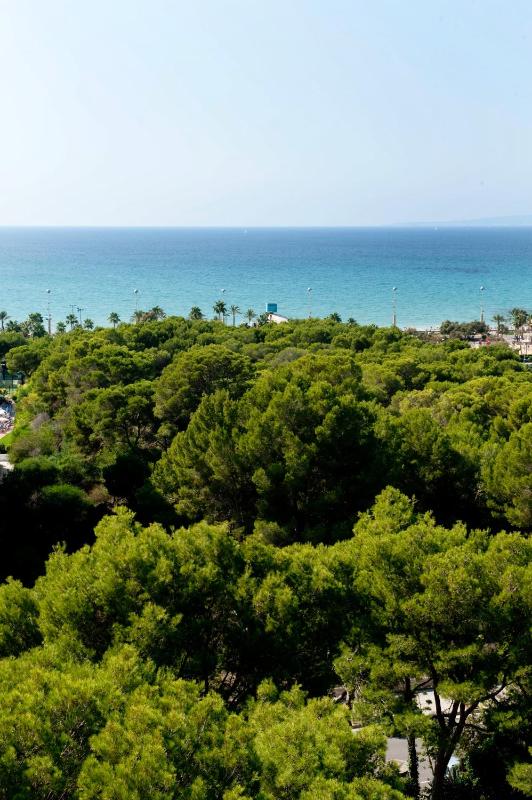 Grupotel Taurus Park - image 20