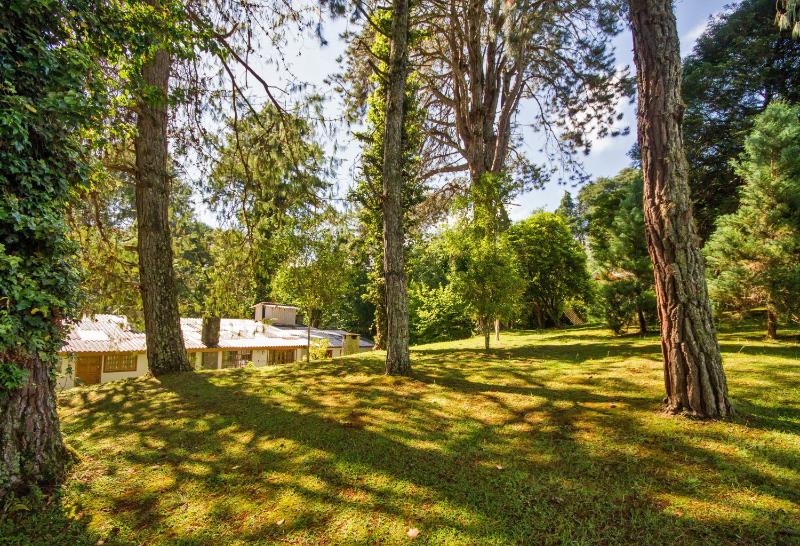 Villa Vintage Campos - Piscina e opções de suites com hidromassagem - image 10