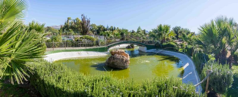 Hotel Rural El Cortijo - image 40