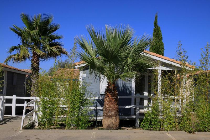 Bungalow (4 Adults) image 3