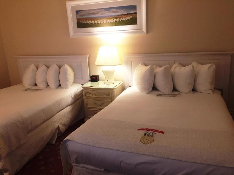 Deluxe Double or Twin Room image 4