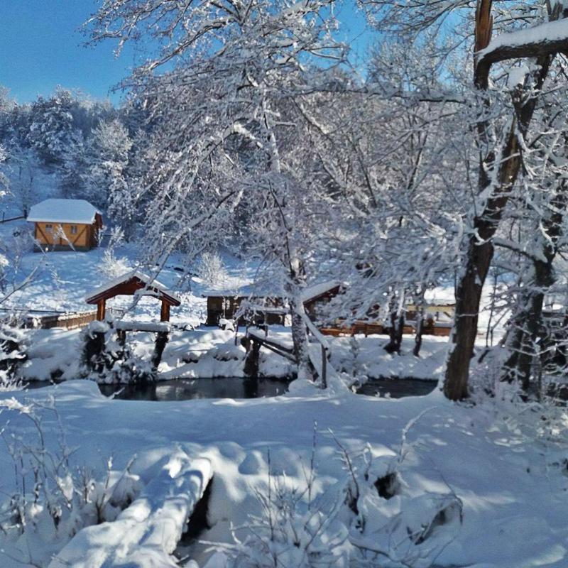 Chalet image 4