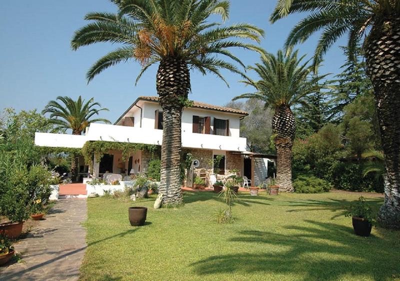 Le Palme - image 16