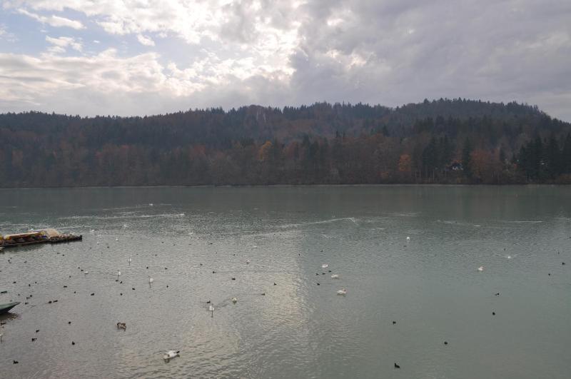 Double Room with Balcony and Lake View image 2