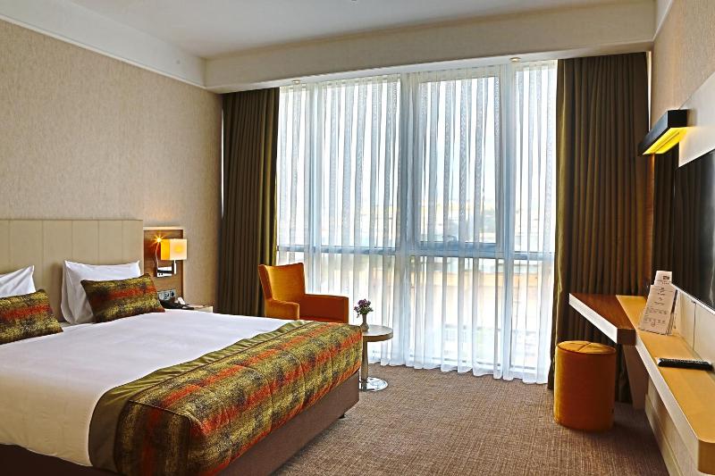 Large Double Room image 2