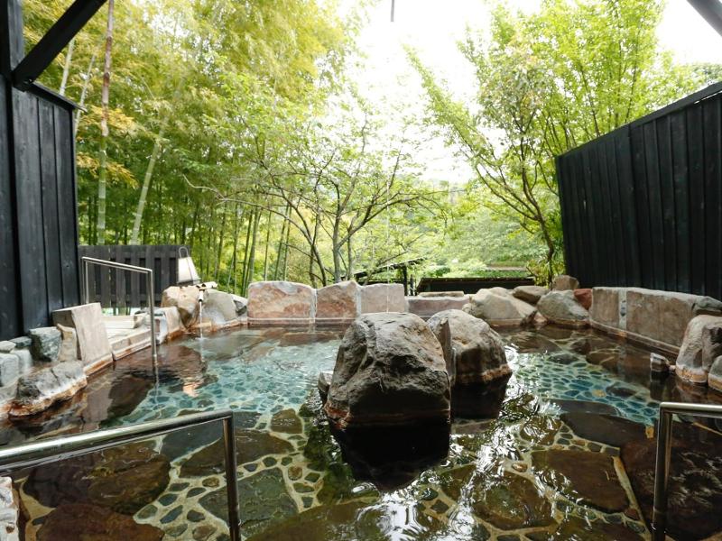 源泉掛け流しの宿Albergo湯楽 - image 11