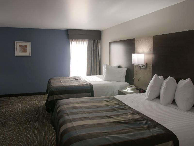 Wingate By Wyndham Louisville Fair and Expo - image 37