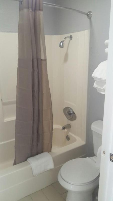 Large Single Room image 1