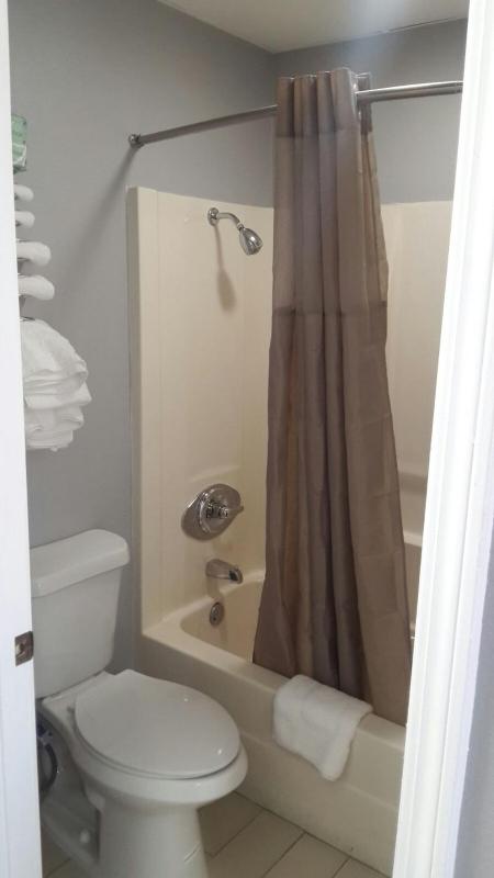 Large Single Room image 4
