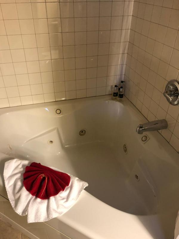 Christmas Suite at All Seasons Inn image 2