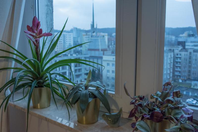 Apartament Widokówka - image 7
