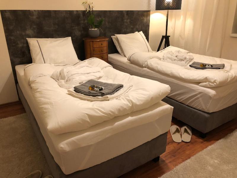 Deluxe Suite image 4