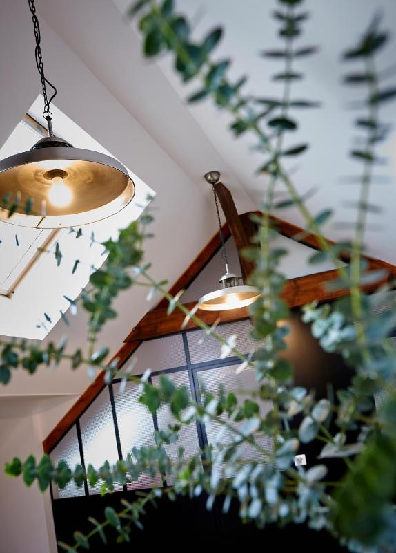 Superior Apartment image 3