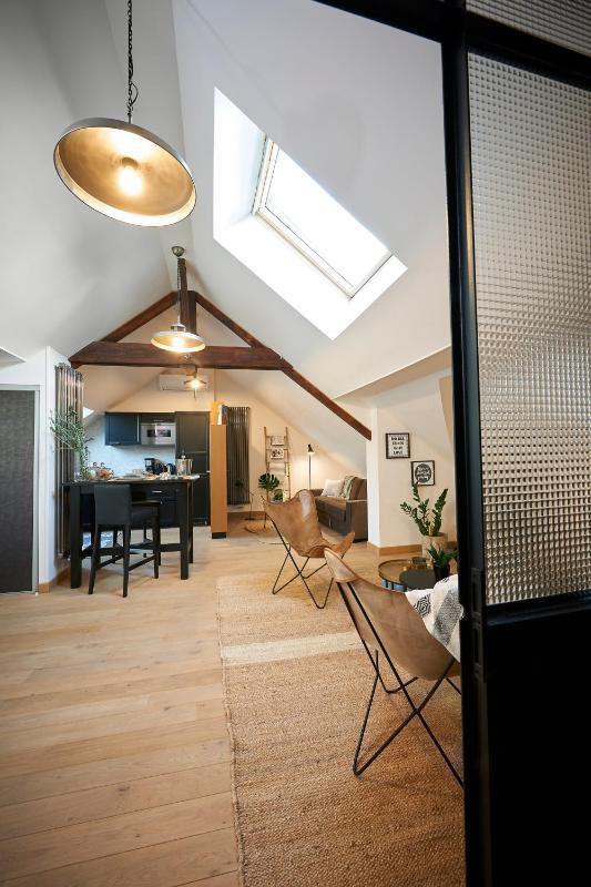 Superior Apartment image 4