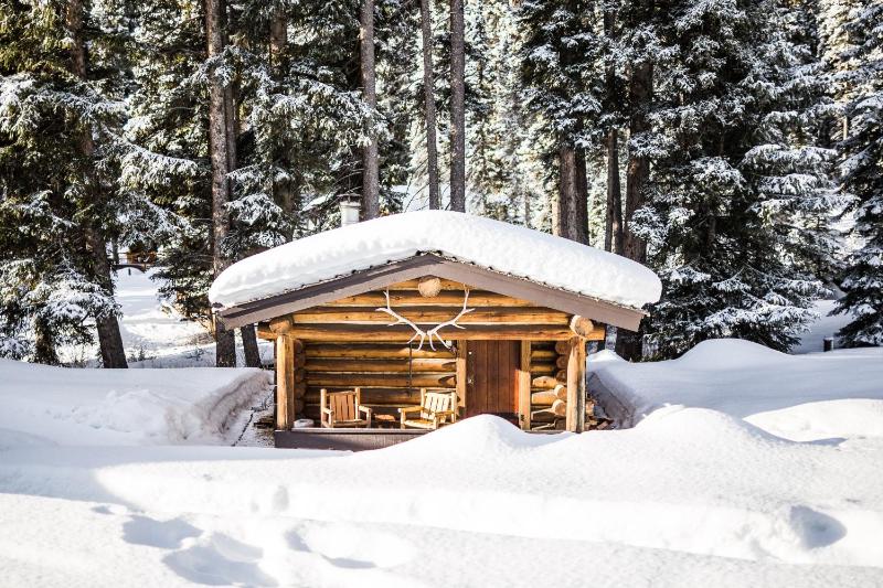 Bald Eagle Cabin image 2