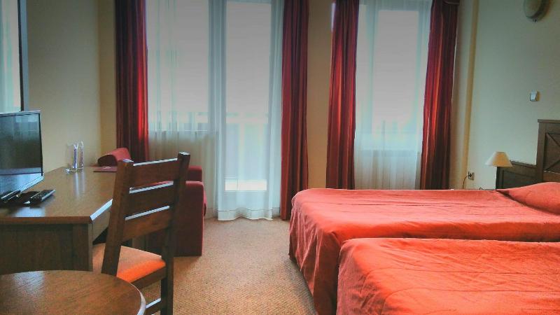 Evelina Palace Hotel - image 14