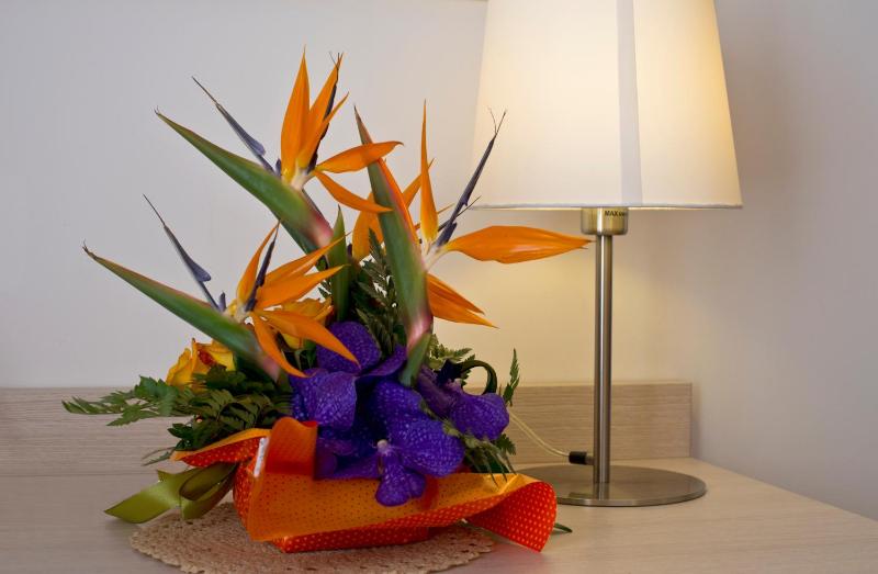 Double or Twin Room image 2