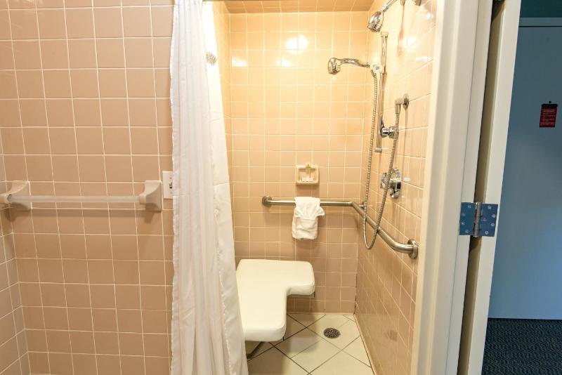 Large Room Accessible  image 3