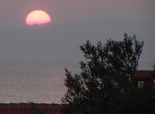 Pansion Dragica - image 14