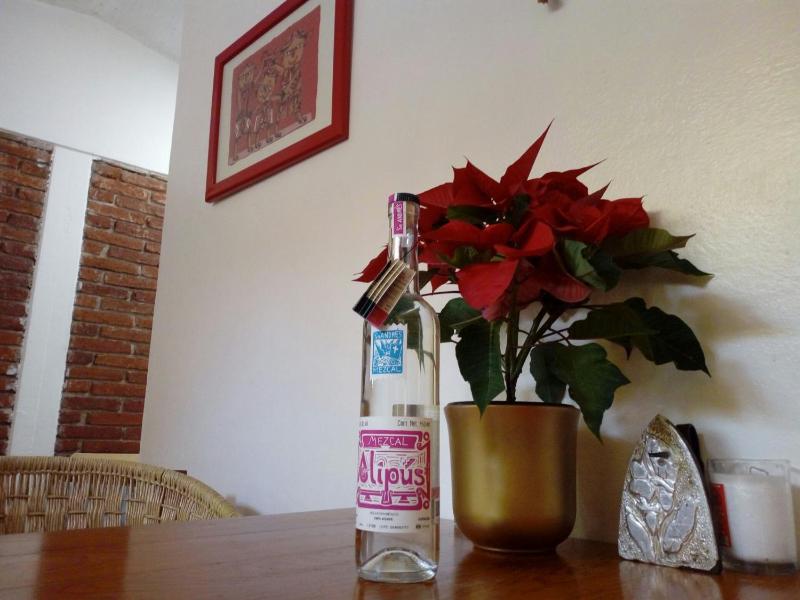 Casa Mixteca Santo Domingo Oaxaca - image 15
