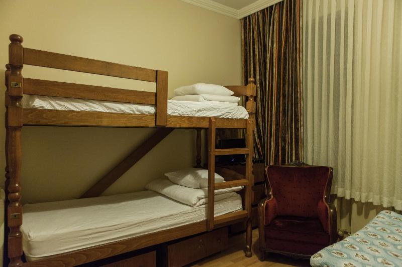 Bunk Bed in Mixed Dormitory Room image 3