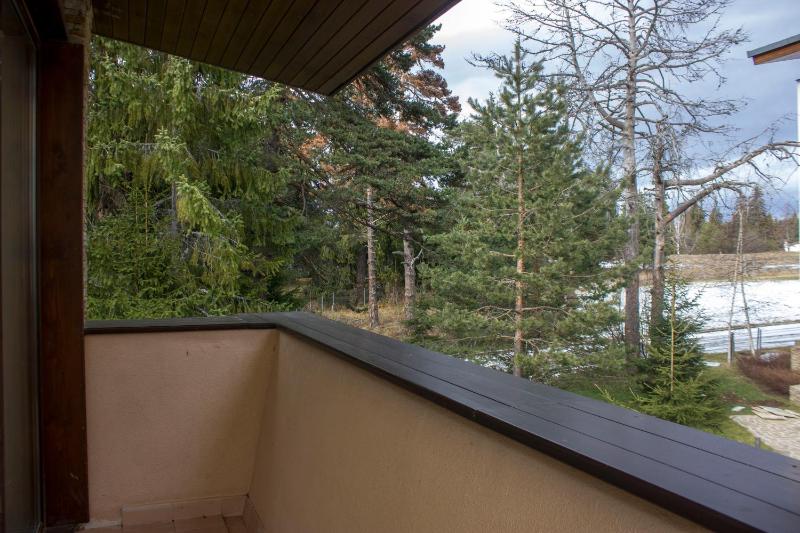 Superior Villa image 4
