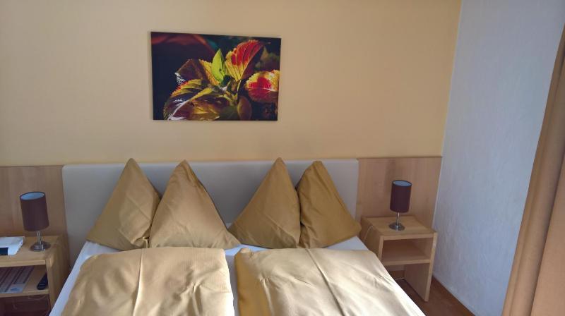 Jungfrau Hotel - image 13