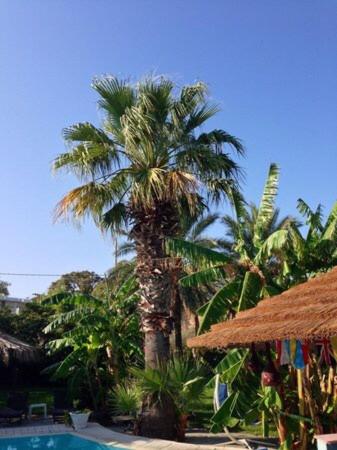 Hotel Kalithea - image 11