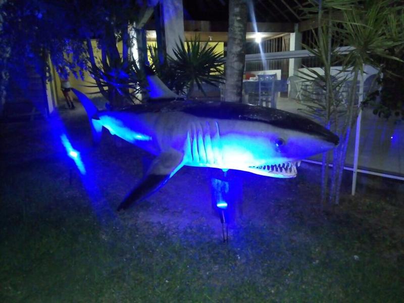 Eco suites Caravelas - image 14
