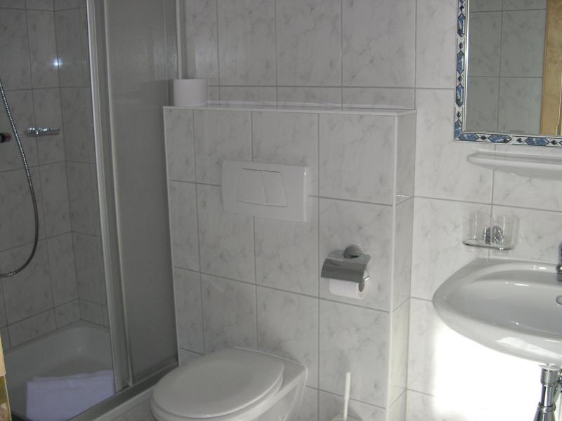 One-Bedroom Apartment image 3