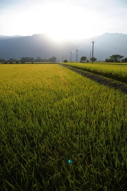 Lost and Find Homestay - image 15