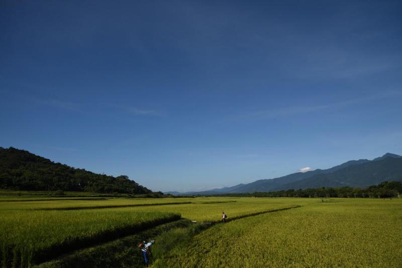 Lost and Find Homestay - image 28