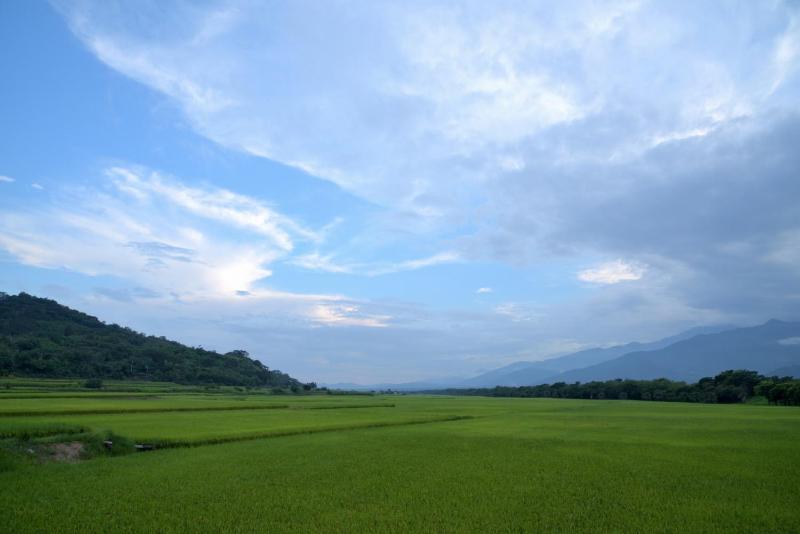 Lost and Find Homestay - image 2