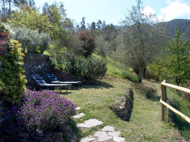 Villanova - Nature & Wellness - image 39