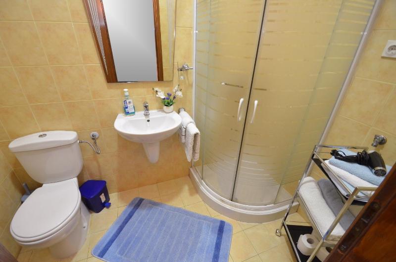 One-Bedroom Apartment (3 Adults) - Blue image 4