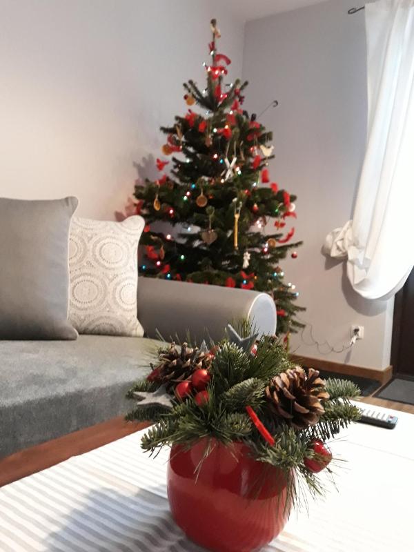 One-Bedroom Apartment image 4