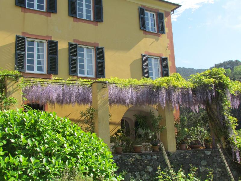 Villanova - Nature & Wellness - image 32